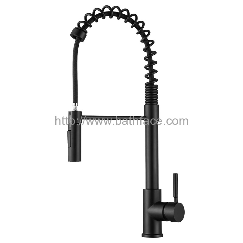 Pull Down Spray Kitchen Sink Mixer