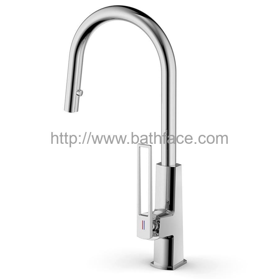 Hansgrohe Brass Kitchen Sink Mixer