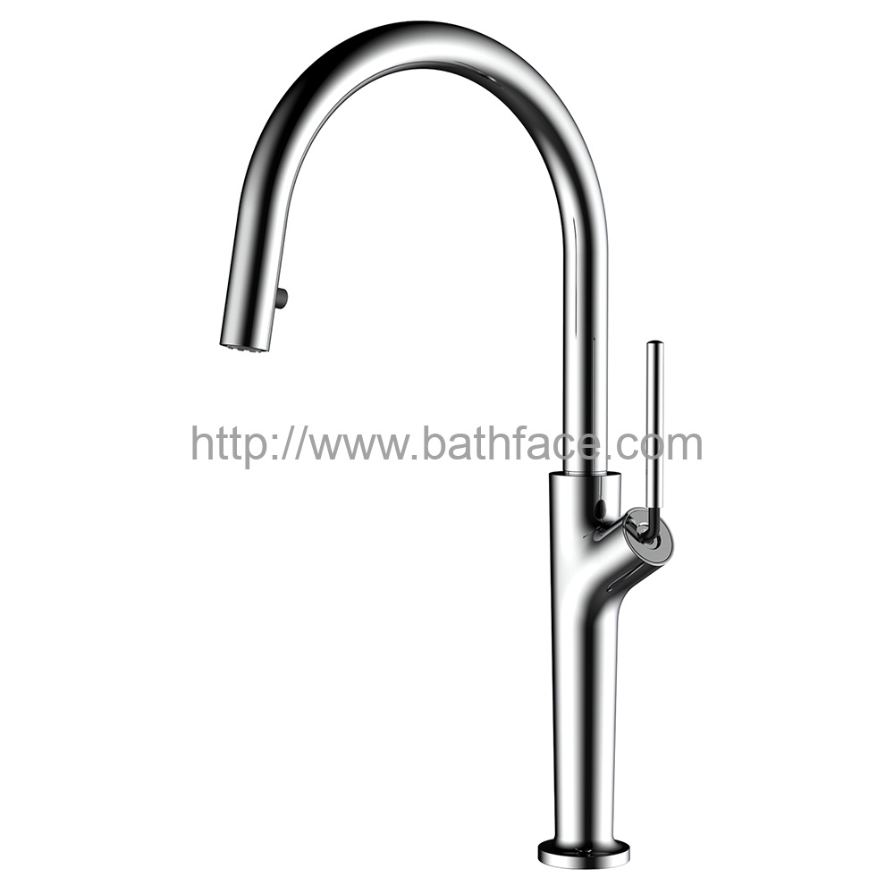 Hansgrohe Brass Kitchen Sink Tap